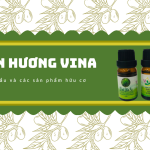 Cô giáo chế biến tinh dầu từ loài cây đặc sản